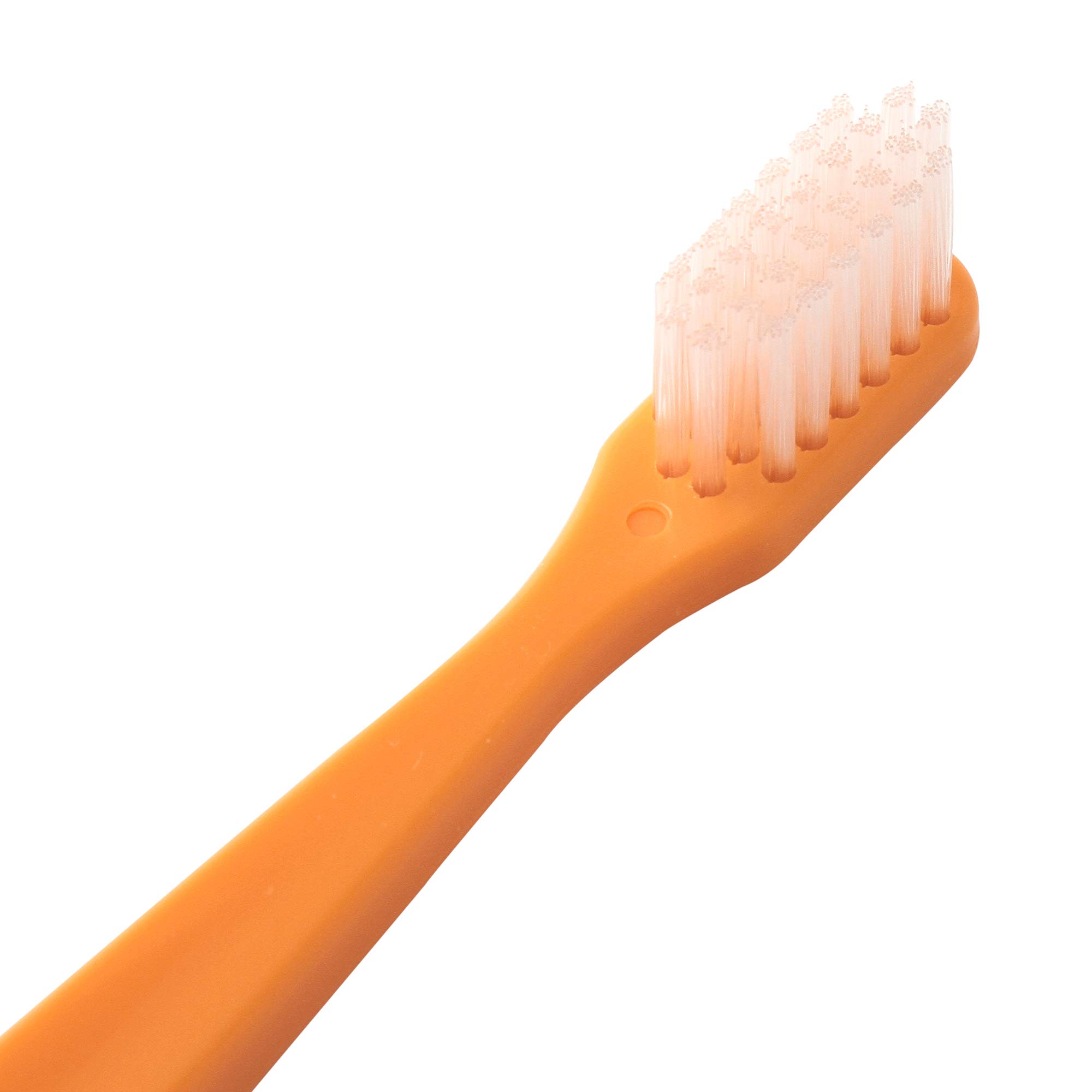 Amazon | 福田ブラシ工業 【日本製】 20本入り（5色各4本） 歯科医院